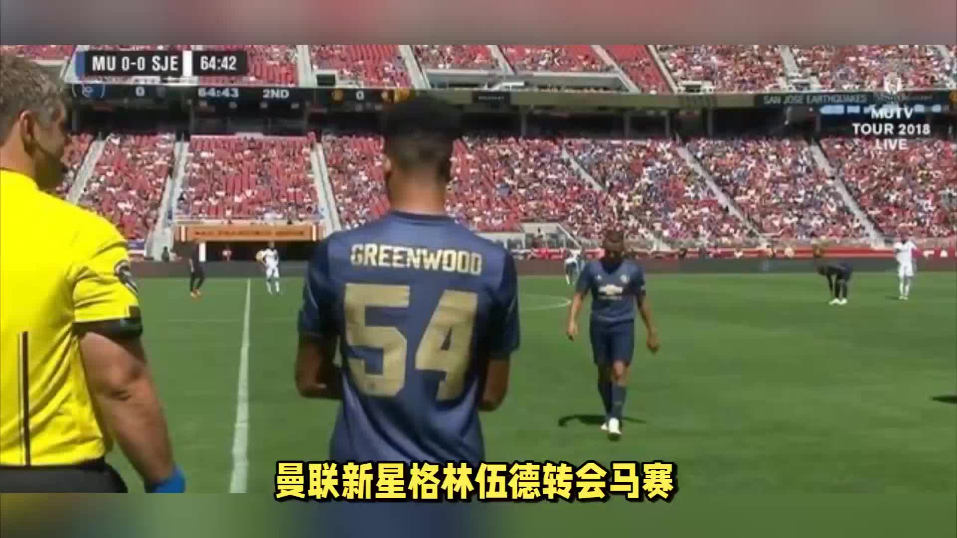 年轻球员树